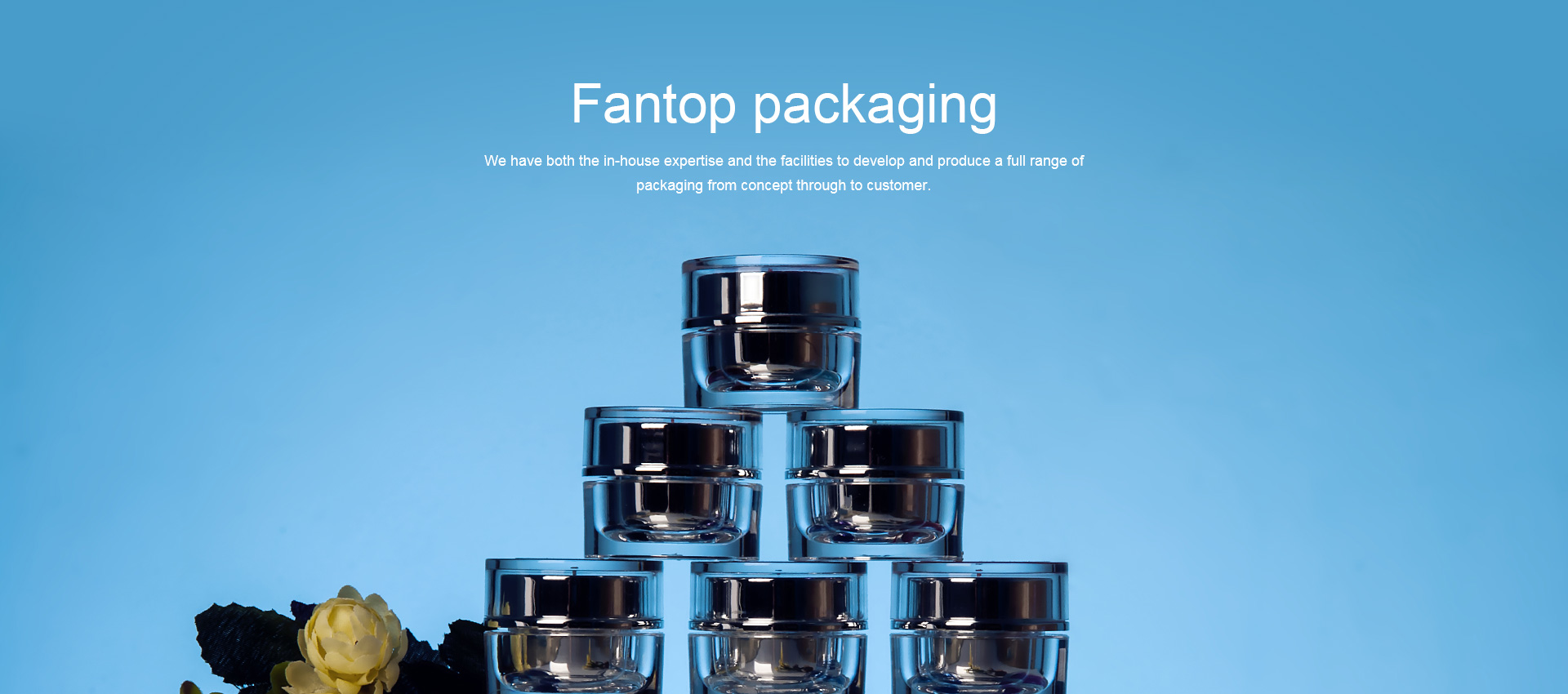 Fantop packaging